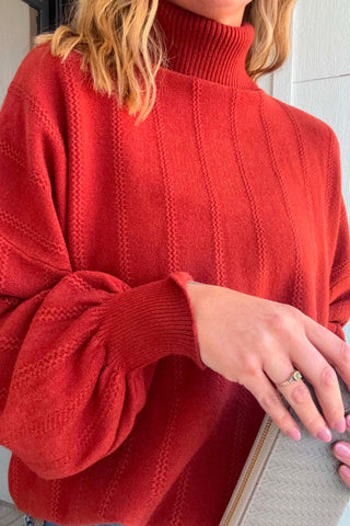 Ally Luxe Textured Turtleneck - Just Dani Boutique + Color Studio
