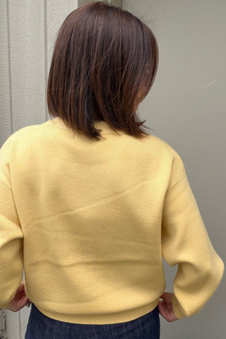 Brittany Lemon Boyfriend Pullover Sweater - Just Dani Boutique + Color Studio