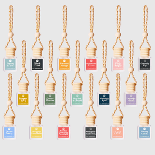 Car Diffusers | Core Scents - The Funky Zebras Clear Lake