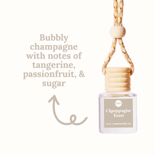 Car Diffusers | Core Scents - The Funky Zebras Clear Lake