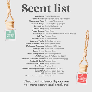 Car Diffusers | Core Scents - The Funky Zebras Clear Lake