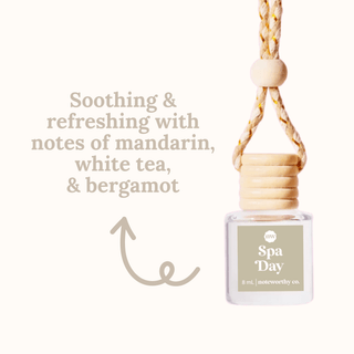 Car Diffusers | Core Scents - The Funky Zebras Clear Lake