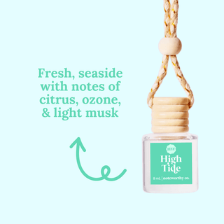 Car Diffusers | Core Scents - The Funky Zebras Clear Lake