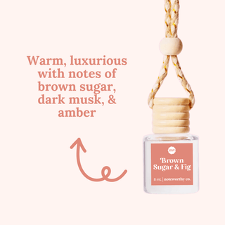 Car Diffusers | Core Scents - The Funky Zebras Clear Lake