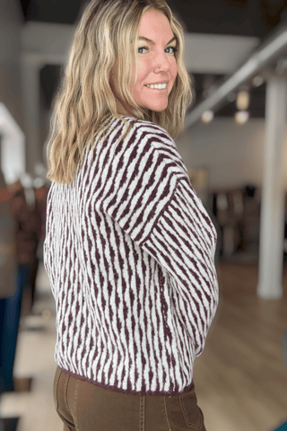 Meggie Fig Abstract Striped Crew Sweater - Just Dani Boutique + Color Studio