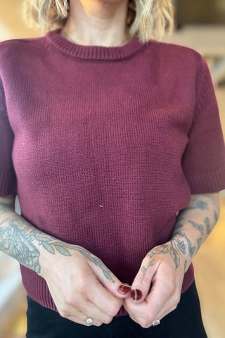 Robin Maroon Short Sleeve Sweater - Just Dani Boutique + Color Studio