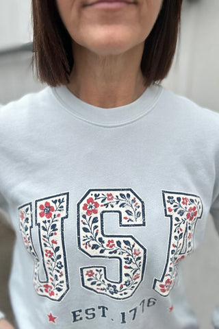 USA Graphic Sweatshirt - Just Dani Boutique + Color Studio
